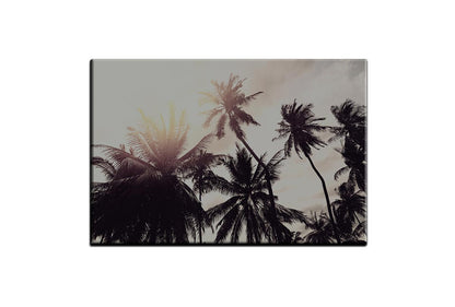 Palms | Canvas Wall Art Print