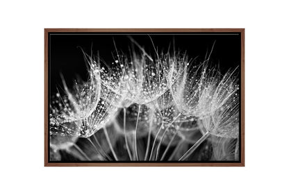 Close-Up Dandelion on Black | Canvas Wall Art Print - Final Touch Decor