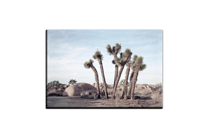 Desert Joshua Trees Canvas Wall Art Print