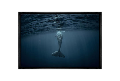 Whale from Below | Canvas Wall Art Print