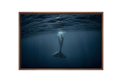 Whale from Below | Wall Art Print