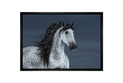 Horse | Canvas Wall Art Print