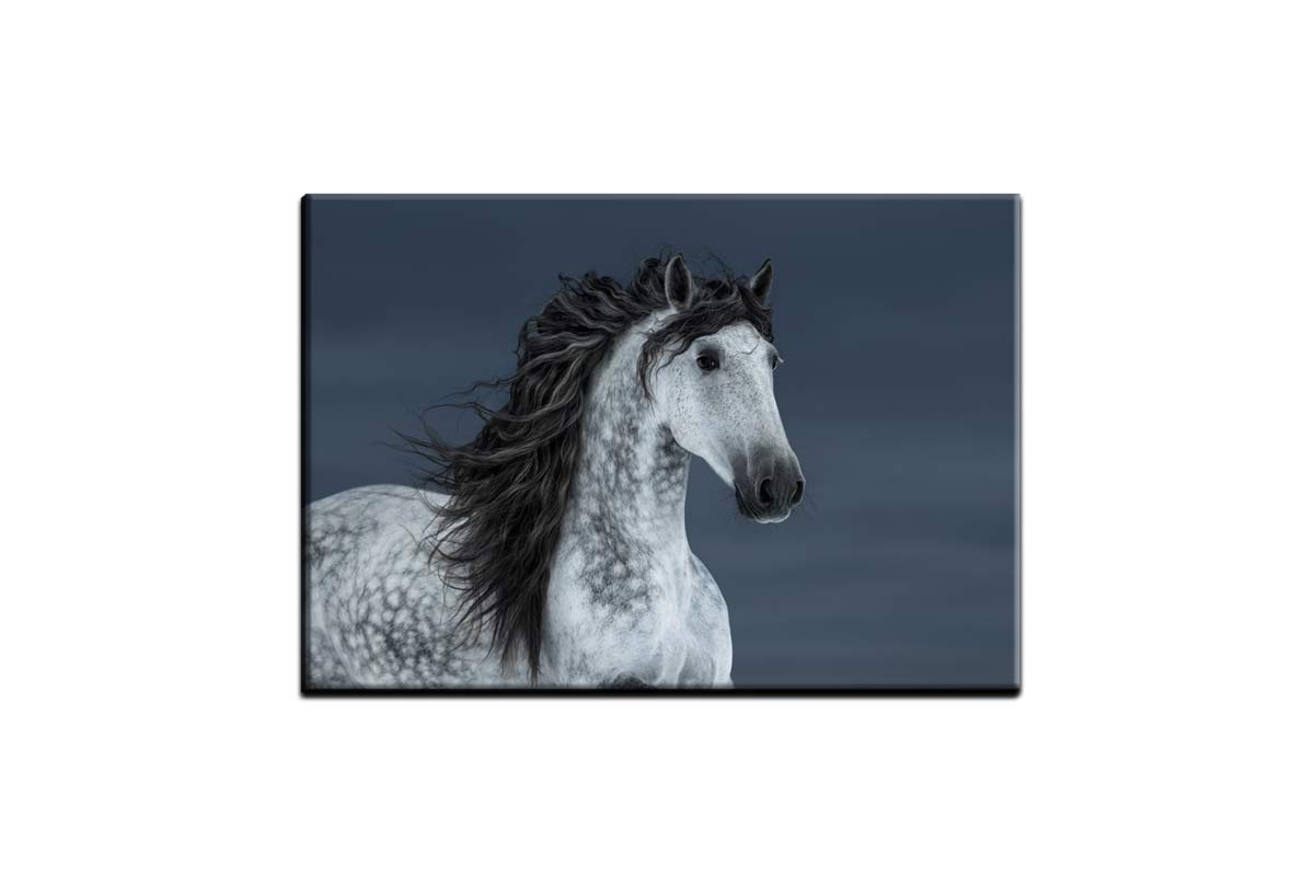 Horse | Canvas Wall Art Print