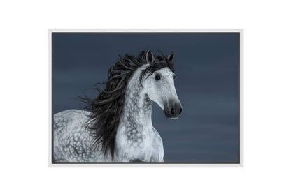 Horse | Canvas Wall Art Print