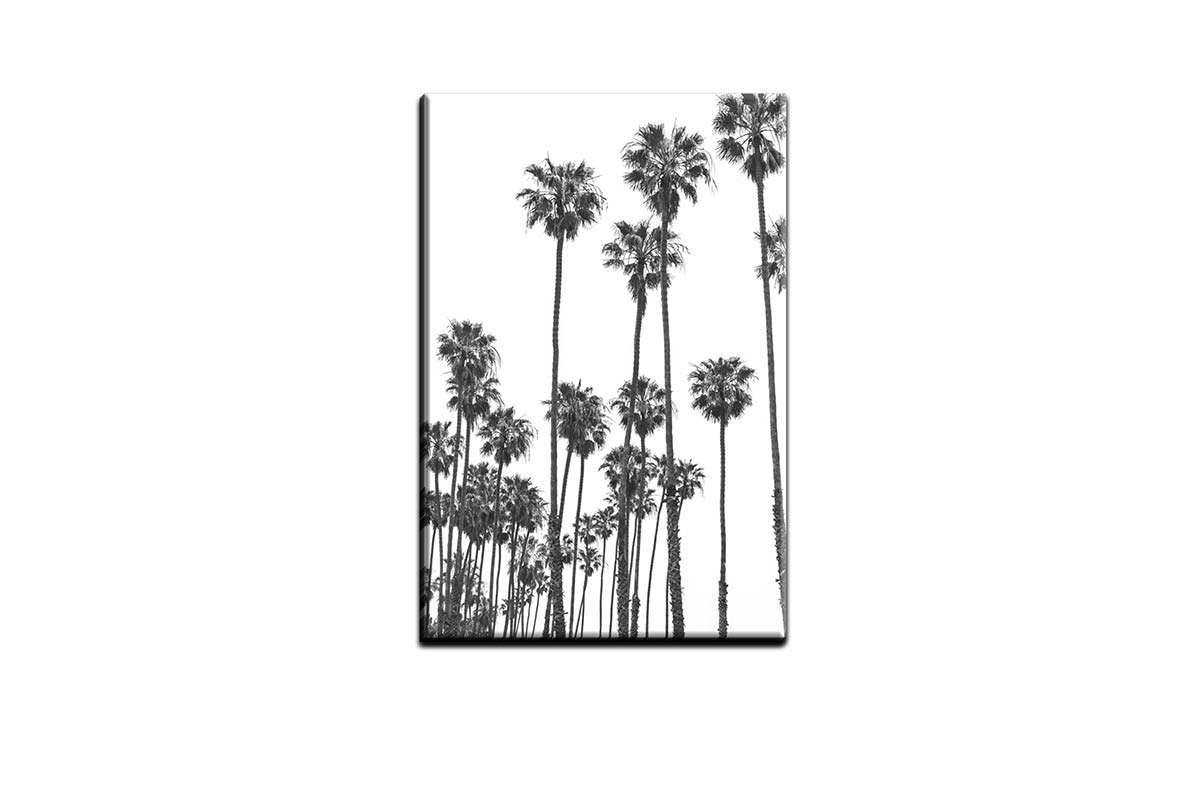 Palms Silhouette | Canvas Wall Art Print