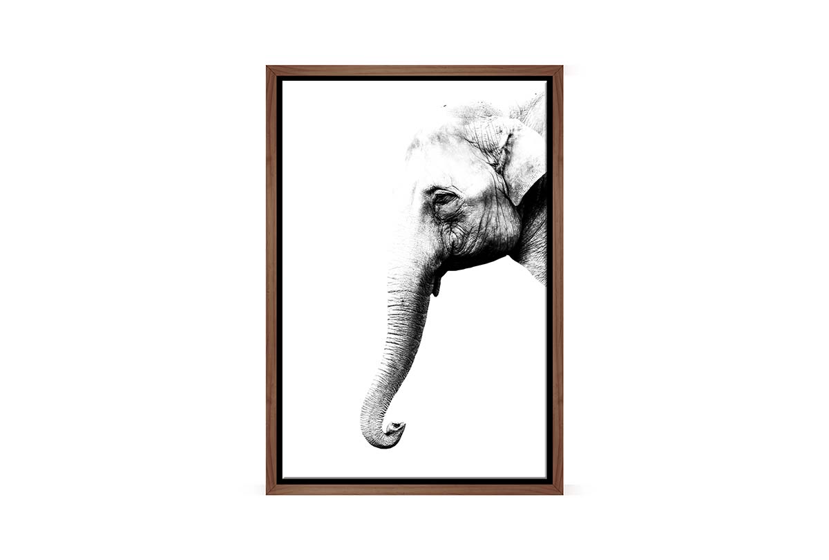 Elephant Portrait | Canvas Wall Art Print