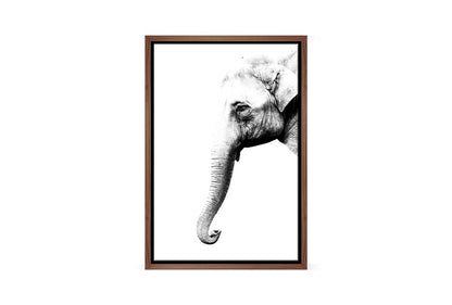 Elephant Portrait | Canvas Wall Art Print