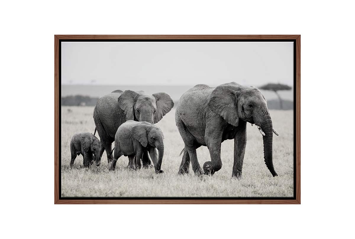 Elephant Family | Canvas Wall Art Print