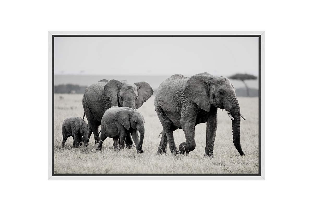 Elephant Family | Canvas Wall Art Print