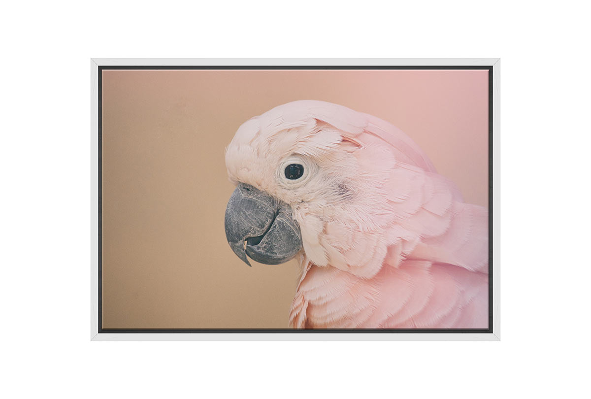 Pink Parrot | Canvas Wall Art Print