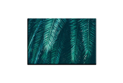 Palm Fronds | Canvas Wall Art Print