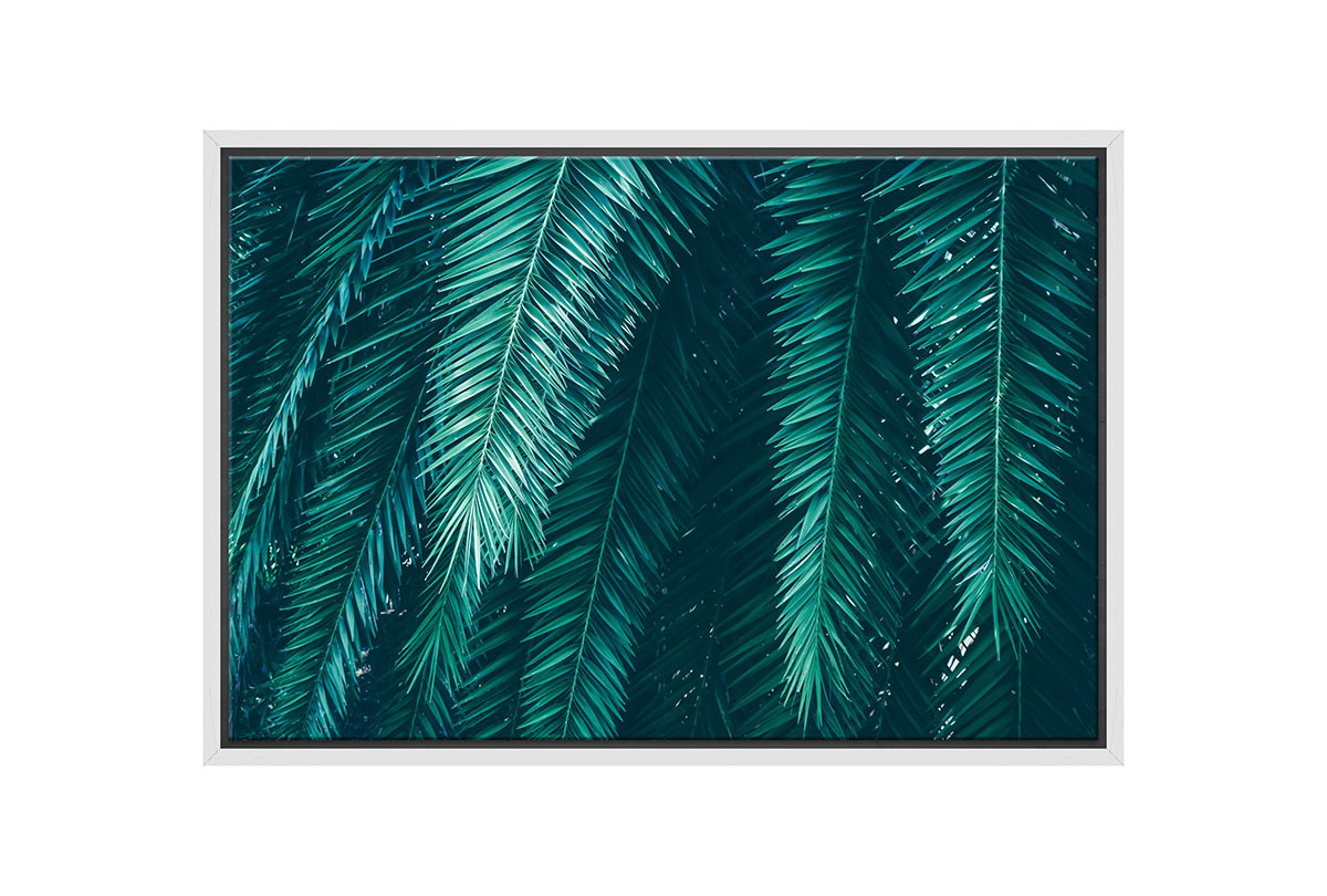 Palm Fronds | Canvas Wall Art Print