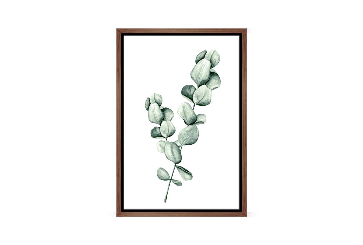 Eucalyptus Gum Leaves 1 | Canvas Wall Art Print