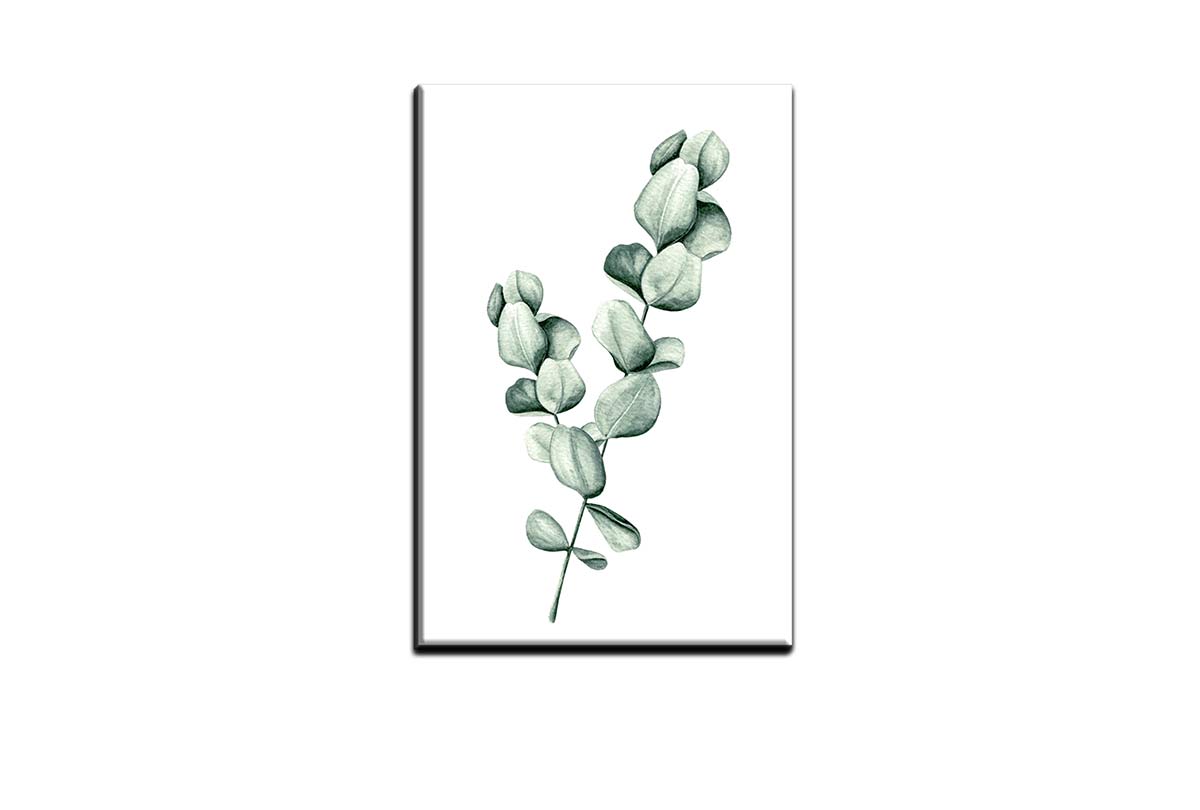 Eucalyptus Gum Leaves 1 | Canvas Wall Art Print