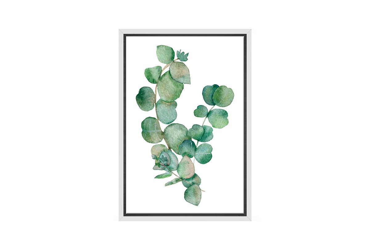 Eucalyptus Gum Leaves 2 | Canvas Wall Art Print