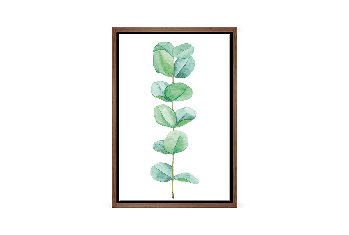 Eucalyptus Gum Leaves 4 | Canvas Wall Art Print