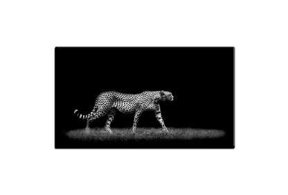 Cheetah Stalking Black and White | Animal Canvas Wall Art Print