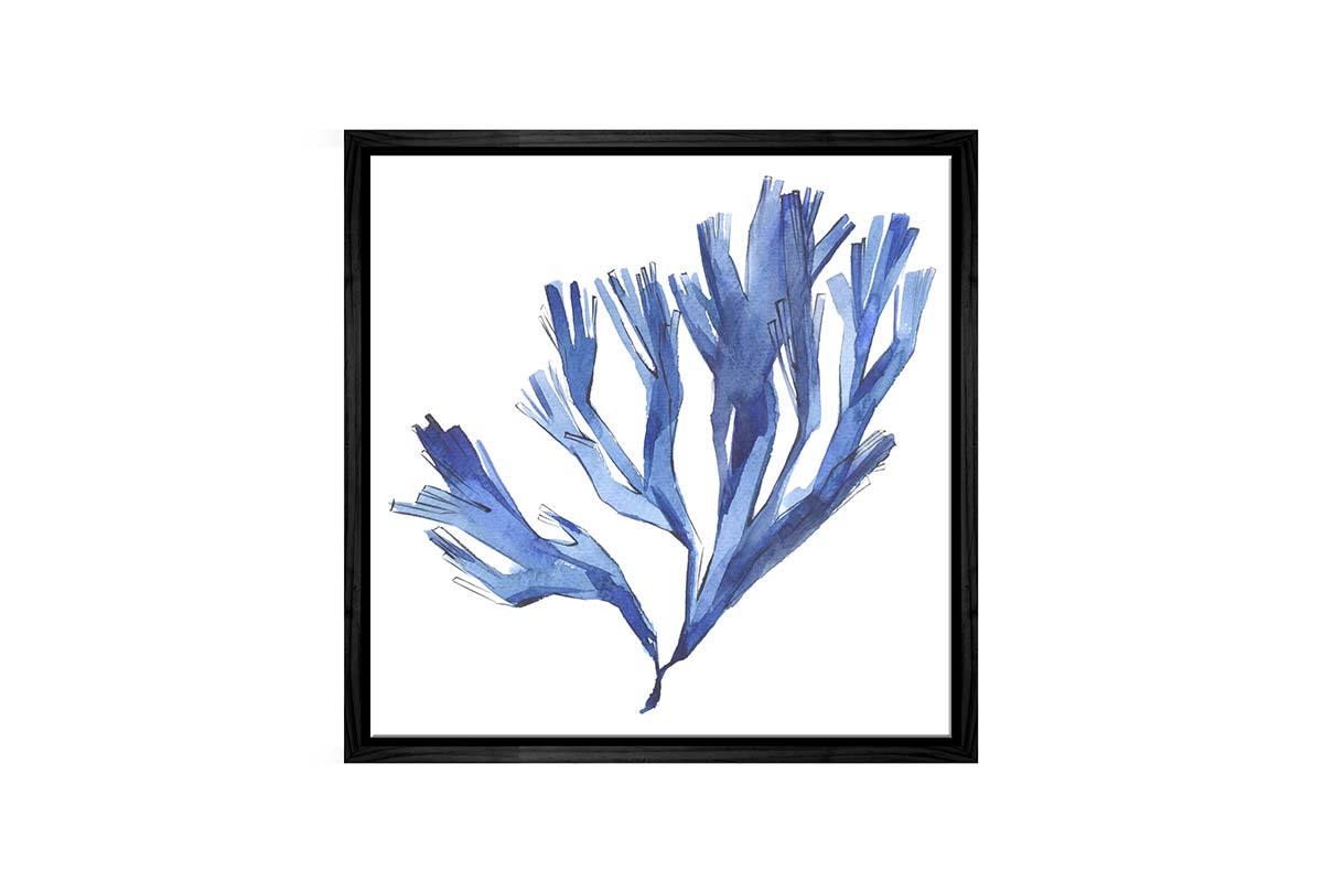 Blue Seaweed | Hamptons Canvas Wall Art Print