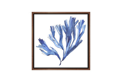 Blue Seaweed | Hamptons Canvas Wall Art Print