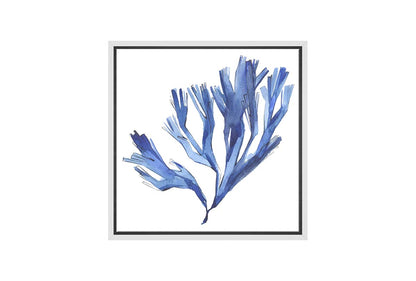 Blue Seaweed | Hamptons Canvas Wall Art Print