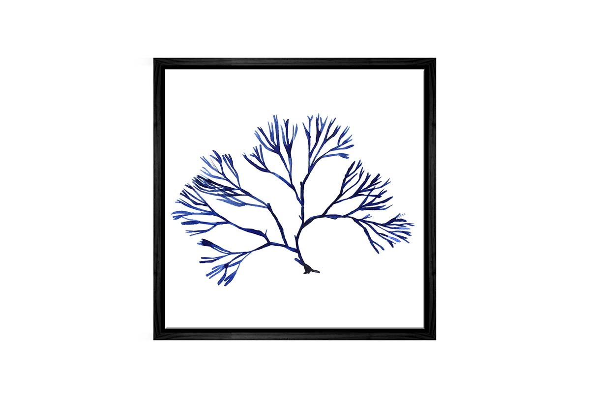 Blue Seaweed 2 | Hamptons Canvas Wall Art Print