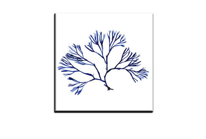 Blue Seaweed 2 | Hamptons Canvas Wall Art Print