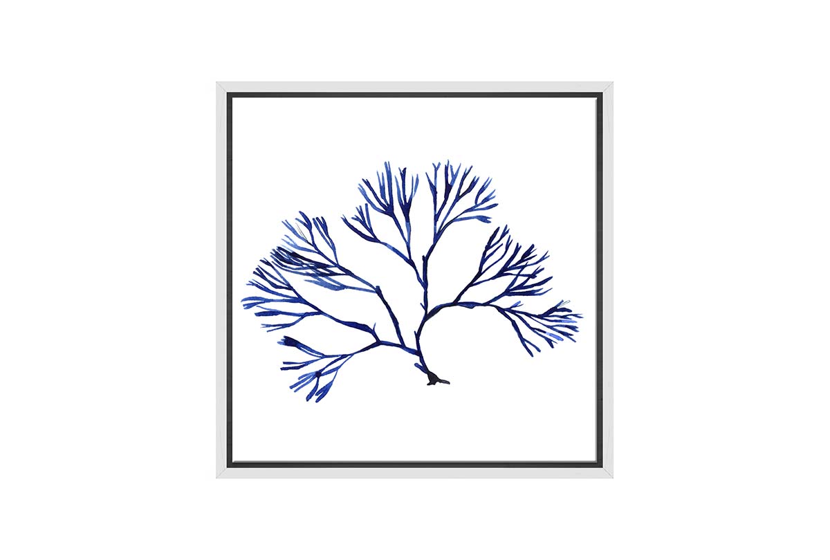 Blue Seaweed 2 | Hamptons Canvas Wall Art Print