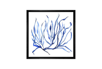 Blue Seaweed 3 | Hamptons Canvas Wall Art Print