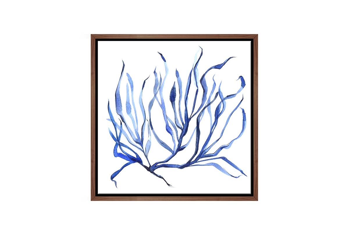 Blue Seaweed 3 | Hamptons Canvas Wall Art Print