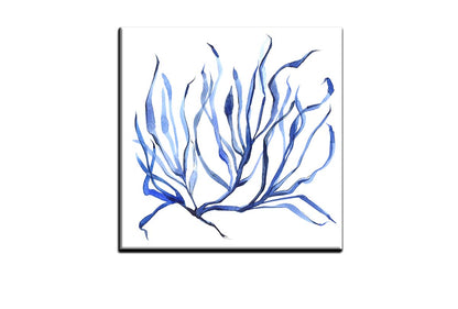 Blue Seaweed 3 | Hamptons Canvas Wall Art Print