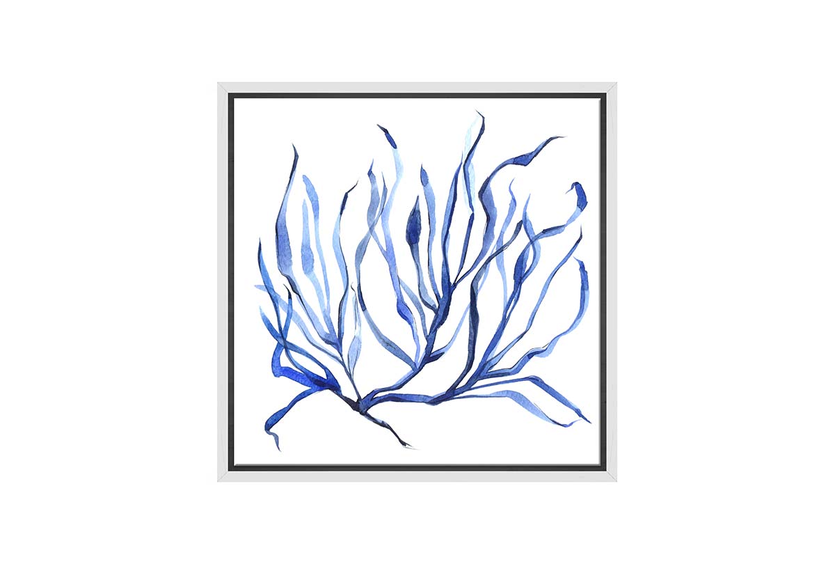 Blue Seaweed 3 | Hamptons Canvas Wall Art Print