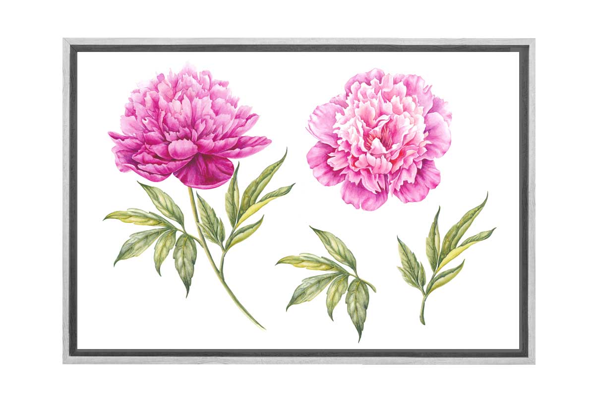 Peony Botanical Print | Flower Canvas Wall Art Print - Final Touch Decor