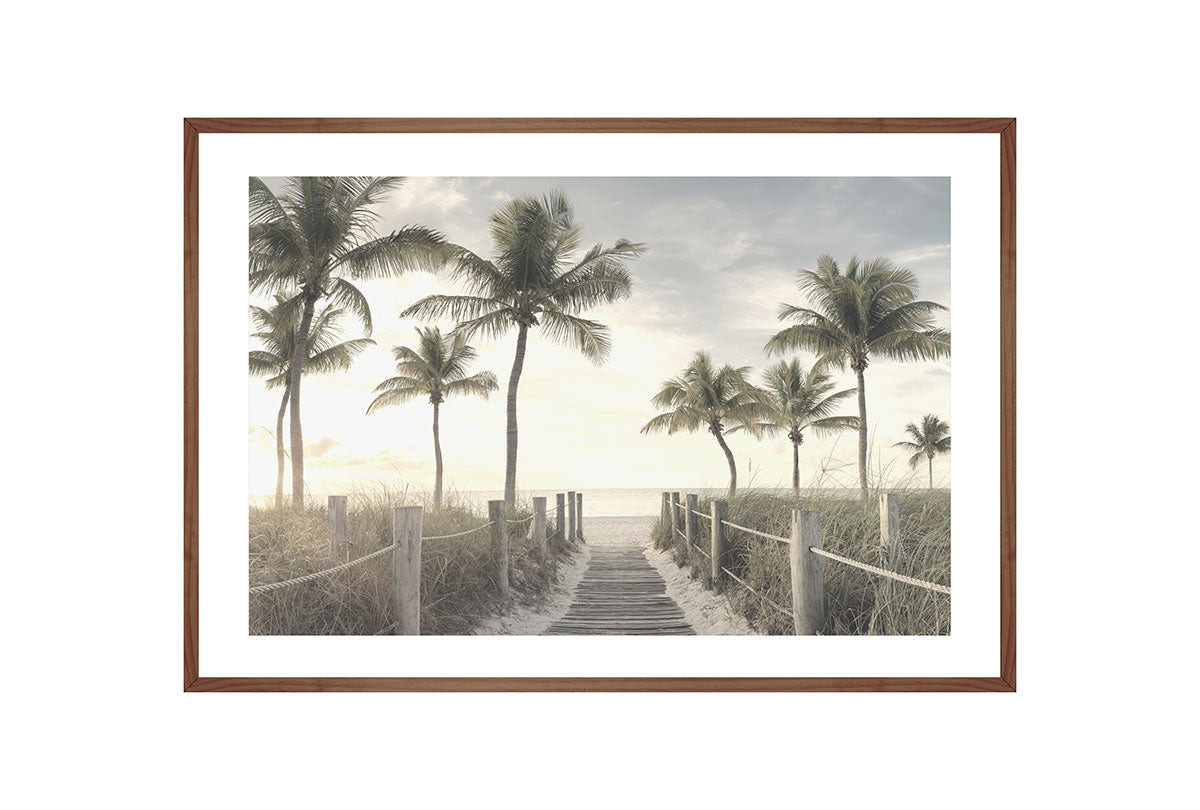 Beach Palm Boardwalk | Wall Art Print