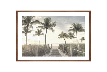 Beach Palm Boardwalk | Wall Art Print