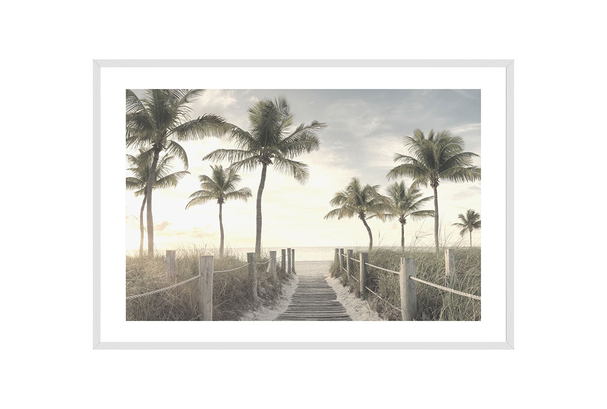 Beach Palm Boardwalk | Wall Art Print