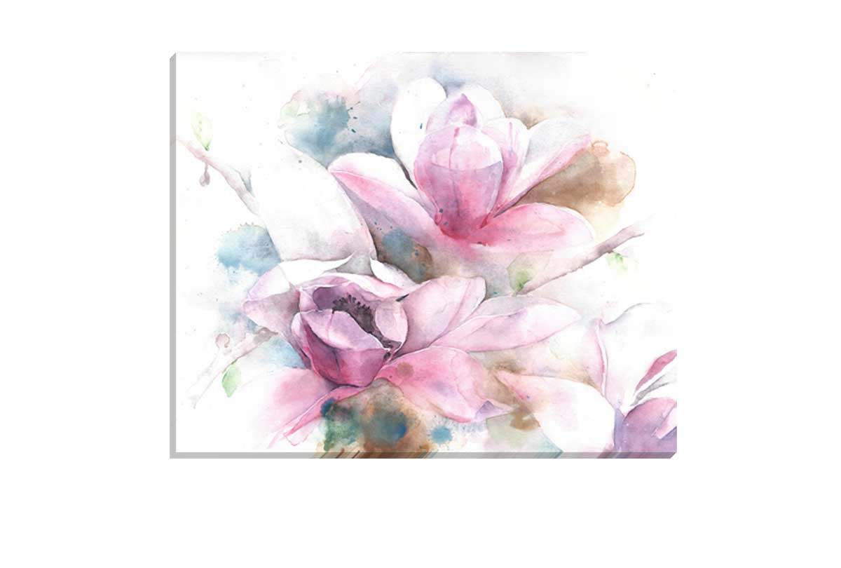 Magnolias Watercolour | Flower Wall Art Print