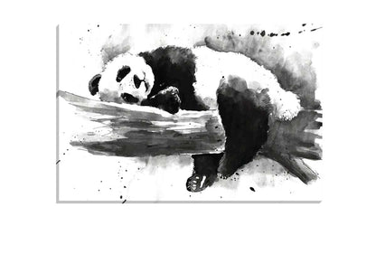 Panda Watercolour | Animal Canvas Wall Art Print