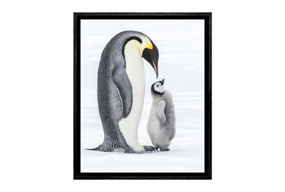 Penguin With Chick Watercolour | Canvas Wall Art Print