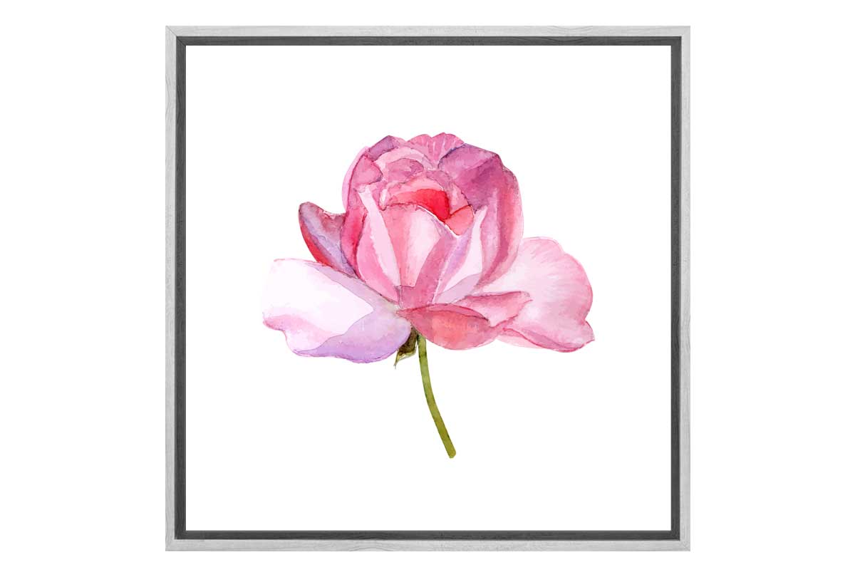 Pink Rose in Watercolour | Floral Canvas Wall Art Print