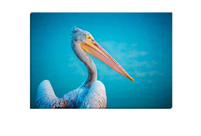 Pelican With Blue Background | Wall Art Print