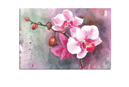 Pink Orchid Watercolour | Flower Wall Art Print