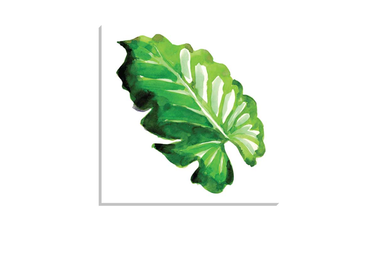 Tropical Leaf | Wall Art Print