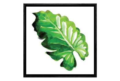 Tropical Leaf | Wall Art Print