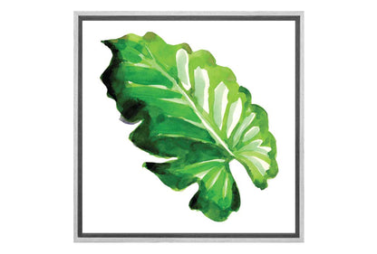 Tropical Leaf | Wall Art Print