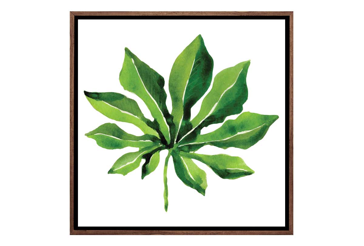 Tropical Leaf 2 | Canvas Wall Art Print