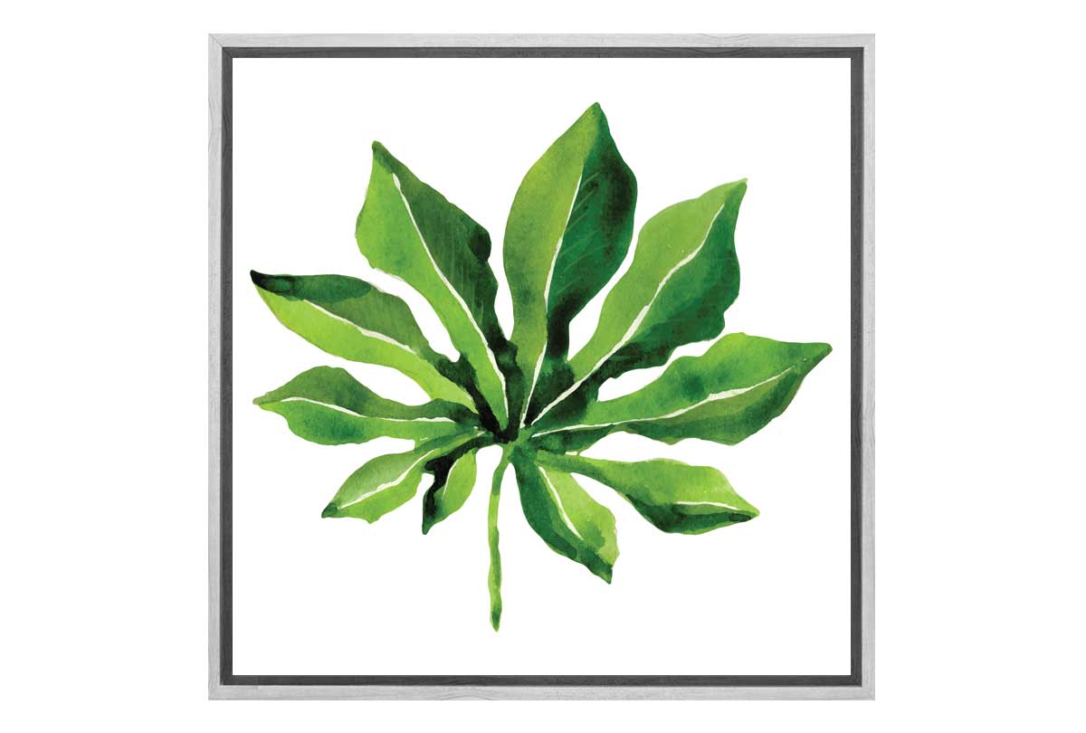 Tropical Leaf 2 | Canvas Wall Art Print