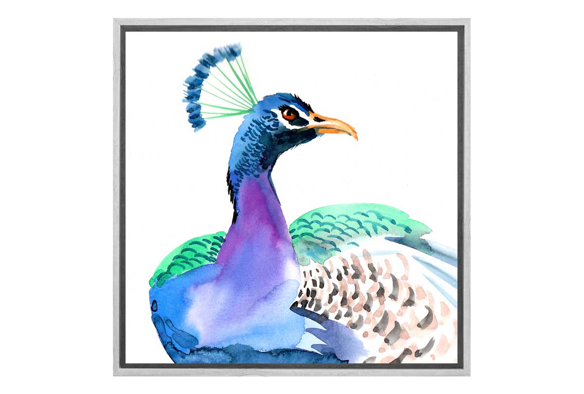 Watercolour Peacock | Bird Wall Art Print