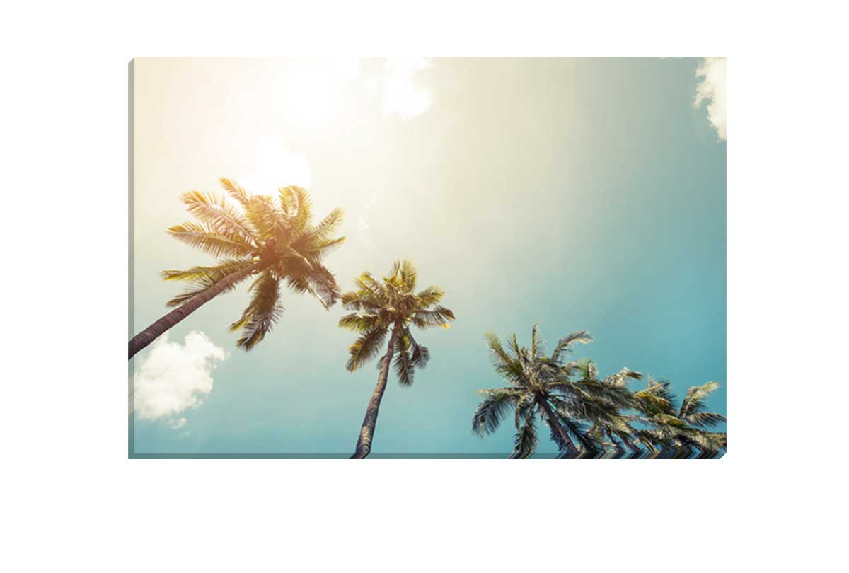Palms Against Sky | Canvas Wall Art Print