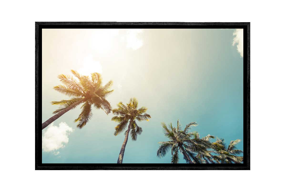 Palms Against Sky | Canvas Wall Art Print