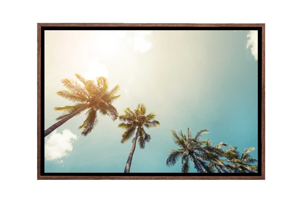 Palms Against Sky | Canvas Wall Art Print